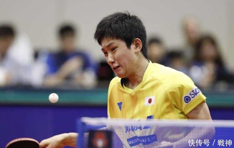 展现了球队 展现了球队