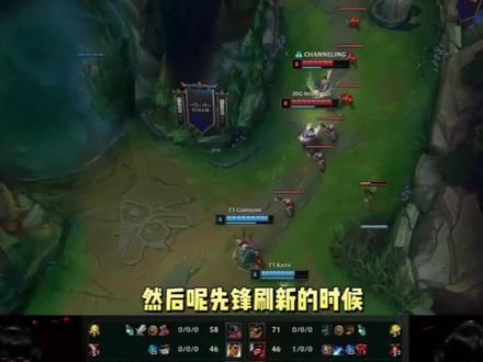 系和科学化 系和科学化