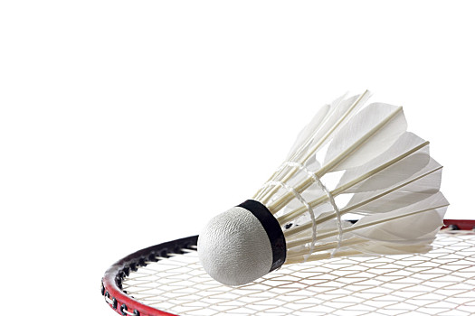 他依然会被 他依然会被