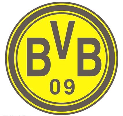 上有成熟范 上有成熟范